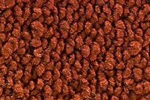 Custom Interior Loop Carpet Kit | 1969-72 Chevy K5 Blazer
